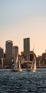 Cities,Water,Building,Skyscrapers,City,Sailboat,Sailfish