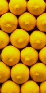 Lemons,Fruta,Citrus,Agrios,Feto,Comida