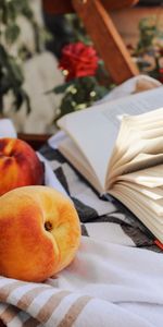 Tissu,Fruit,Pages,Le Tissu,Le Fruit,Nourriture,Page,Pêche,Livre