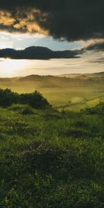 Éclat,Poutres,Buissons,Briller,Domaine,Champ,Nature,Nuages,Rayons