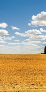 Culture,Grange,Foin,Nature,Domaine,Champ,Hangar,Nuages,Foins,Agriculture