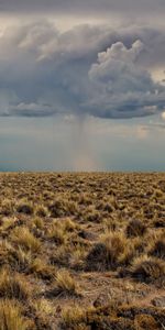 Clouds,Desert,Vegetation,Before The Rain,Nature