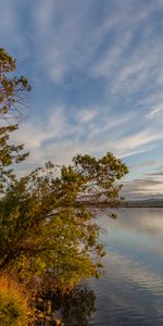 Clouds,Horizon,Lake,Branches,Nature