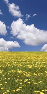 Clouds,Landscape,Fields