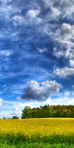 Clouds,Landscape,Fields