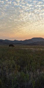 Clouds,Light,Feathers,Nature,Sunset,Shine,Field,Pen,Pasture