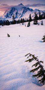 Invierno,Montaña,Naturaleza,Árboles,Nubes,Nieve