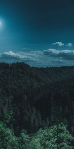 Nuages,Forêt,Lune,Montagnes,Nature