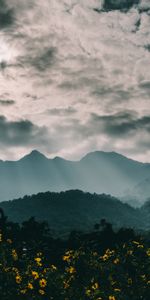 Clouds,Nature,Mountains,Fog,Flowers