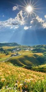 Clouds,Nature,Mountains,Sun,Lilies,Beams,Rays,Slope,Flowers