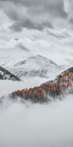 Clouds,Snow Covered,Snowbound,Nature,Mountains,Forest,Landscape