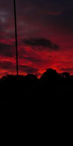 Árboles,Noche,Nubes,Oscuro