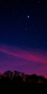 Árboles,Nubes,Noche,Cielo Estrellado,Universo