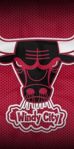 Club,Chicago Bulls,Sports,Basketball,Bull