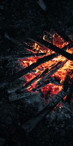 Coals,Firewood,Bonfire,Fire,Dark