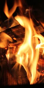 Coals,Firewood,Flame,Miscellanea,Fire,Miscellaneous,Bonfire