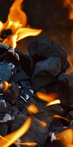 Coals,Miscellanea,Miscellaneous,To Burn,Burn,Burnt,Flame,Fire