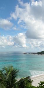 Coast,Equator,Nature,Stones,Tropics,Palms