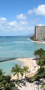 Coast,Nature,Palms,City,Waves,Sand,People,Beach