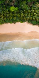 Naturaleza,Ondas,Costa,Palms,Playa