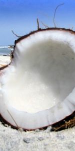 Nourriture,Coconuts