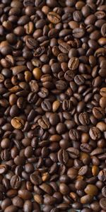 Coffee Beans,Food,Brown,Coffee