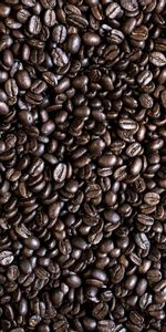 Coffee Beans,Food,Roasted,Fried,Whole,Integral,Coffee