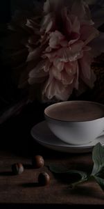 Coffee,Miscellanea,Miscellaneous,Beverage,Peony,Cup,Drink,Pion,Still Life