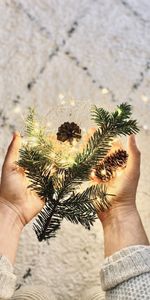 Cones,Christmas,Holiday,Garland,Holidays,New Year,Branch,Hands