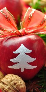 Cones,New Year,Apples,Cinnamon,Nuts,Holiday,Table,Needles,Bow,Decor,Tape,Food