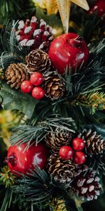 Cones,New Year,Berries,Christmas,Christmas Tree,Holidays