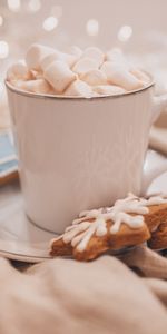 Cookies,Zéphyr,Coupe,Guimauve,Une Tasse,Nourriture