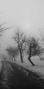 Pareja,Invierno,Árboles,Camino,Parque,Par,Niebla,Asfalto,Paseo,Naturaleza,El Parque