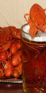 Crayfish,Food,Beer