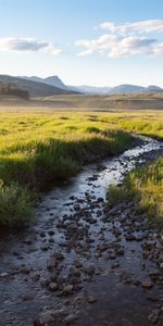 Creek,Brook,Nature,Mountains,Horizon,Field