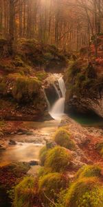 Creek,Brook,Nature,Waterfall,Forest,Autumn