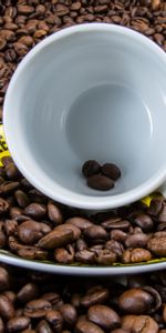 Cup,Coffee Beans,Food,Coffee