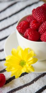 Cups,Raspberry,Fruits,Berries,Food