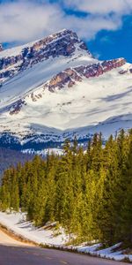 Montañas,Canadá,Distancia,Alberta,Albert,Parque Nacional Banff,Dahl,Naturaleza,Nieve,Camino