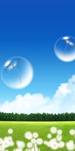 Dandelion,City,Fly,Bubbles,Vector