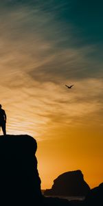 Dark,Sunset,Sea,Rocks,Bird,Silhouette