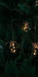 Decoration,Light Bulbs,Thuja,Dark,Garland