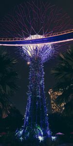 Decoration,Singapore,Landscaping,Landscape Design,Cities,Palms,Park