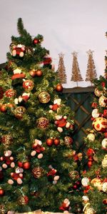 Fêtes,Sapins,Trois,Vacances,Décorations,Nouvel An,Noël