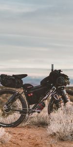 Desert,Bicycle,Wheels,Sports