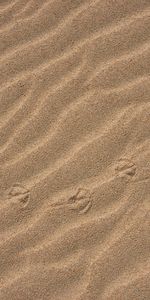 Desert,Miscellanea,Miscellaneous,Traces,Sand