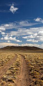 Desert,Road,Nature,Vegetation