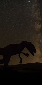 Oscuro,Cielo Estrellado,Dinosaurios,Universo