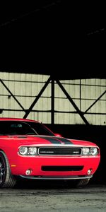 Transports,Voitures,Dodge Challenger