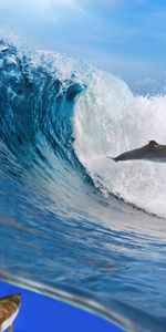 Dolfins,Wave,Ocean,Animals,Freedom